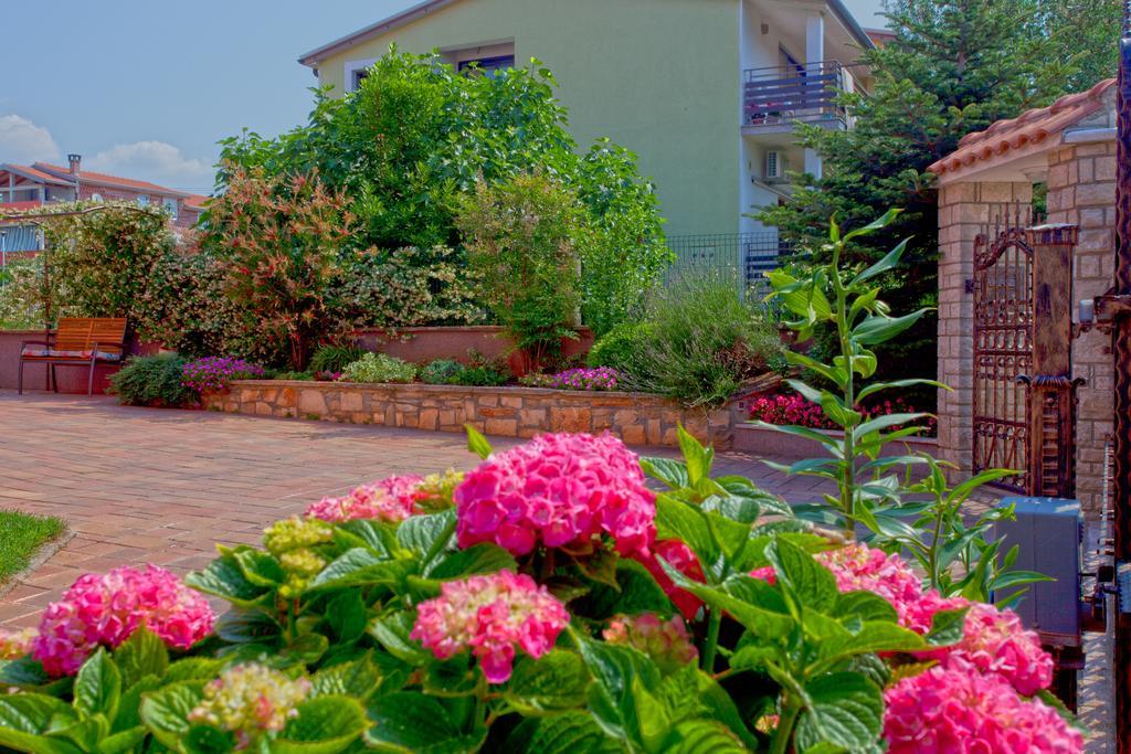 Apartments Daniela Novigrad Istria Esterno foto